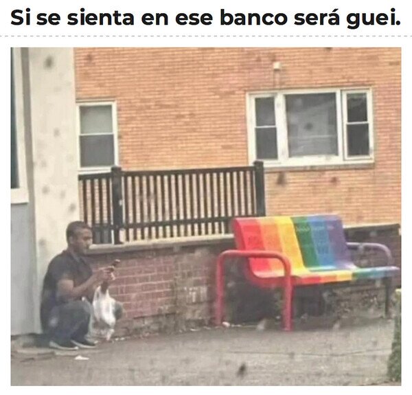 banco,gay,hombre,sentarse