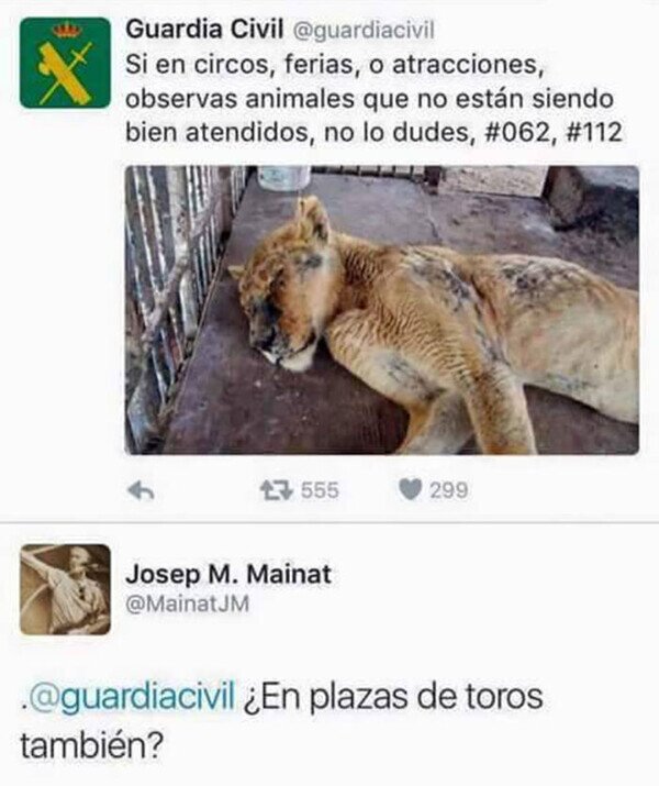 animales,plaza,policía,sufrir,toros