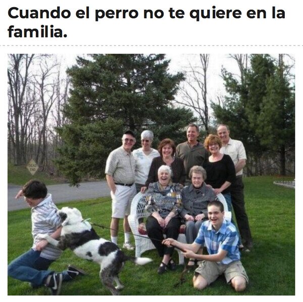 familia,foto,perro