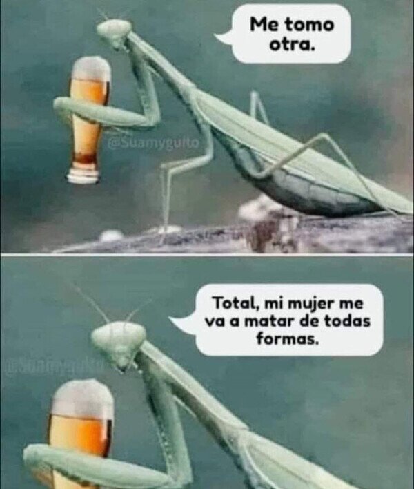 Meme_otros - Una mantis en un bar