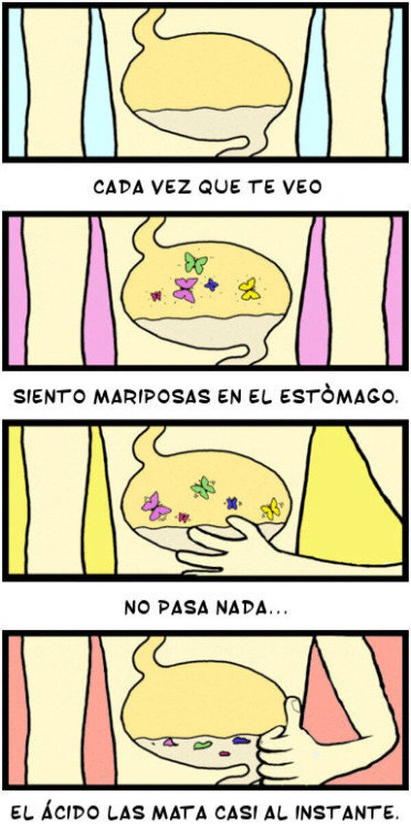 ácido,amor,estómago,mariposas,ver