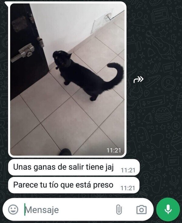 ganas,gato,preso,salir,tío