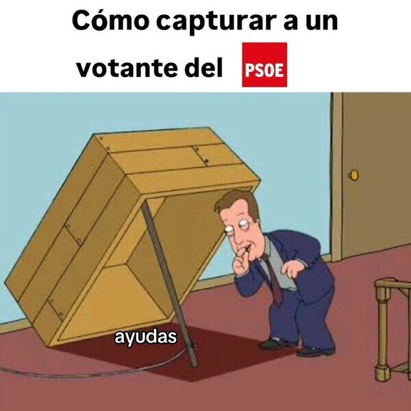 ayudas,psoe,votante