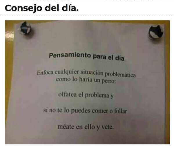 Otros - ¿Qué haría Firulais ante una situación como esta?