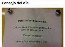 Enlace a ¿Qué haría Firulais ante una situación como esta?