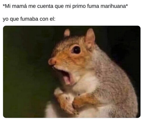 fumar,madre,primo