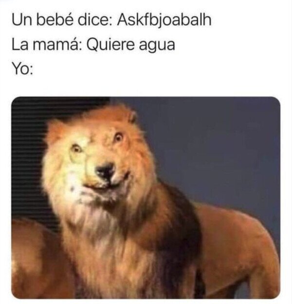 Meme_otros - Si ella lo dice...