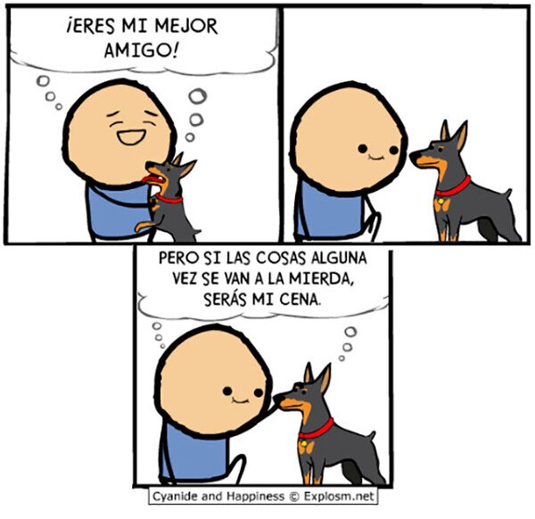 amigos,comerq,humano,perro