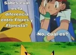 Enlace a A Ash le falta calle