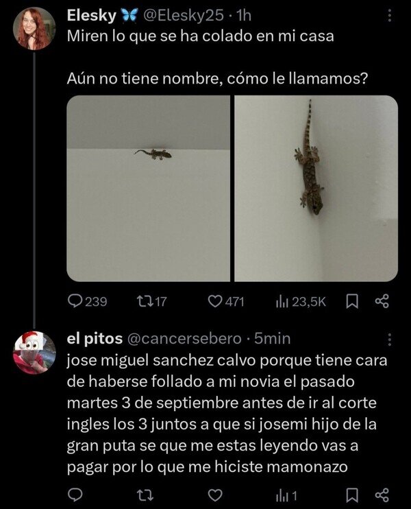 infiel,lagarto,nombre