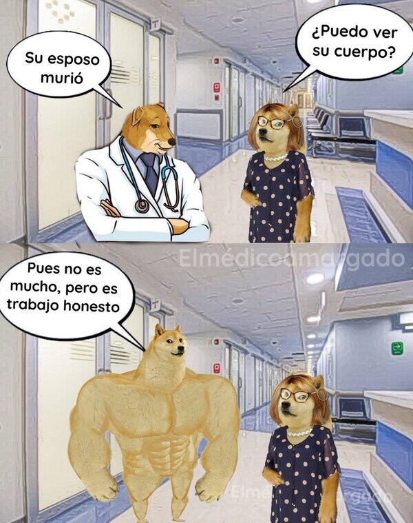 cuerpo,doctor,marido,médico,muerte