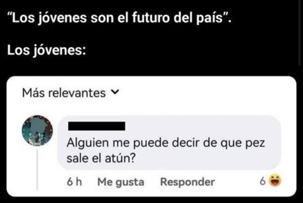 atún,jóvenes,pez