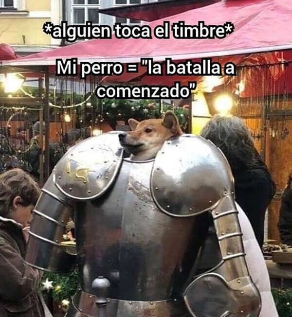 Meme_otros - Mi perro te declara la guerra