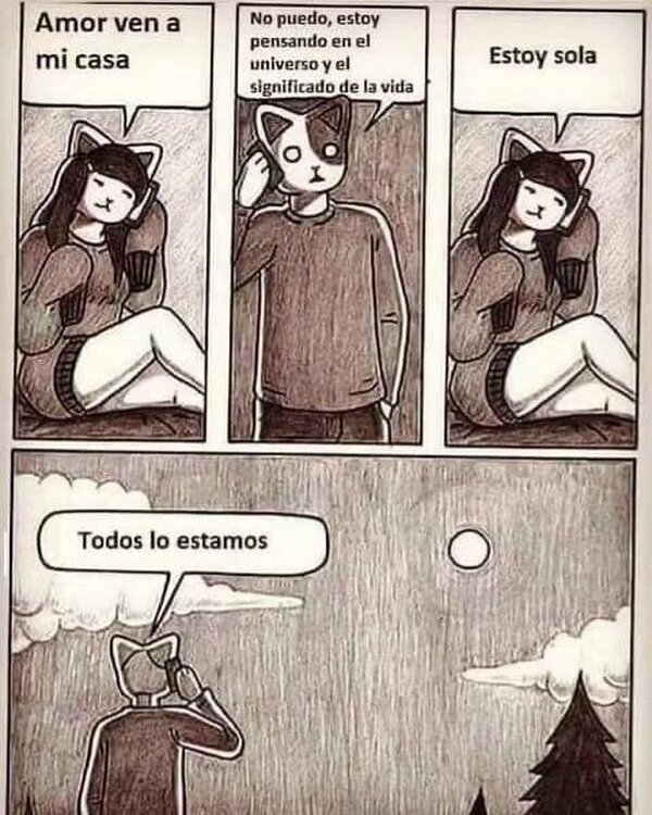 gatos,pareja,reflexionar,sola