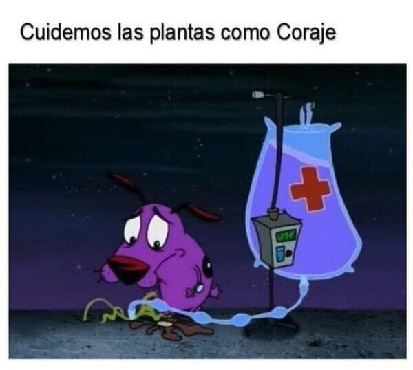 Coraje,cuidar,plantas