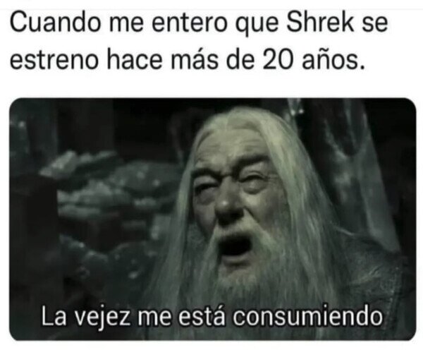 años,edad,shrek,tiempo