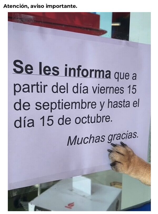 aviso,cartel,días,papel