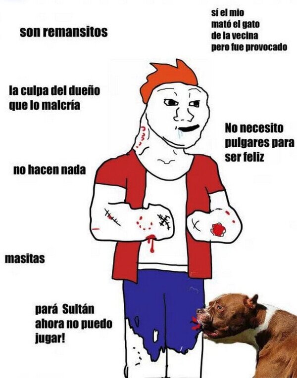 dueño,morder,peligroso,perro