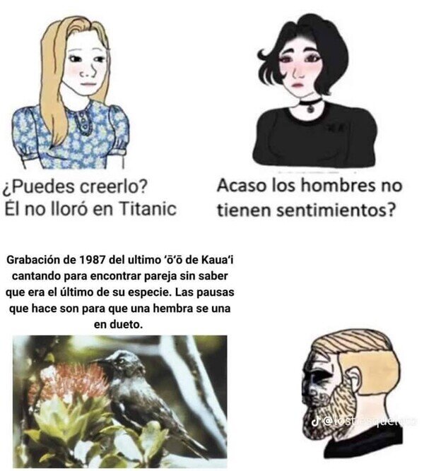 Meme_otros - Eso sí que es para llorar