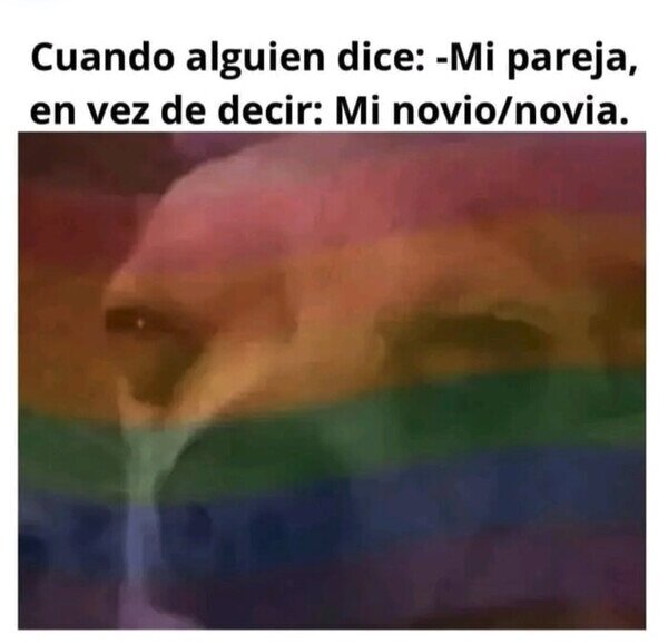 CC_2811322_ced6a499b19c4e8da61edde18a44ccf8_meme_otros_lo_suponia_2.jpg