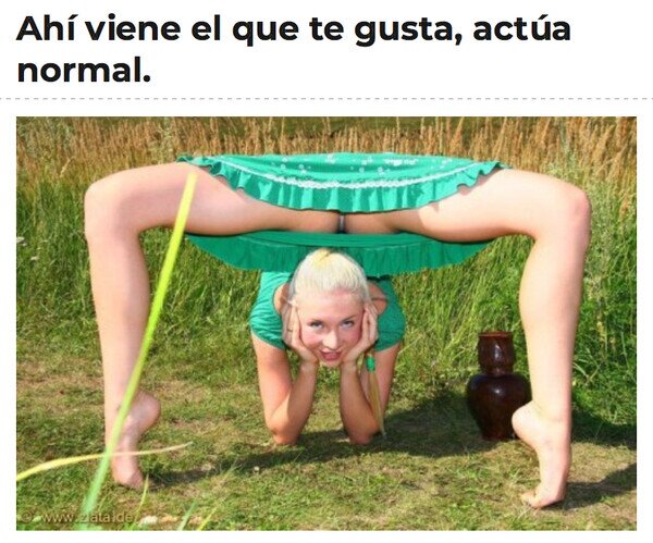 chica,gustar,normal,postura