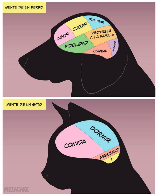CC_2811479_31ca54e566074361adeb463ec85c2bcb_meme_otros_las_mentes_de_perros_y_gatos.jpg