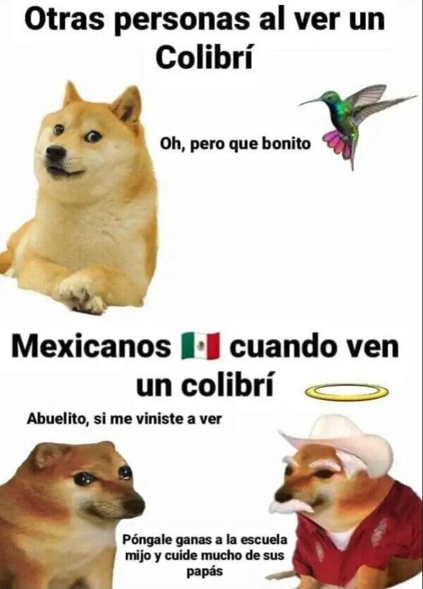 CC_2811537_2185ec4454824ab2a15f180c159d13ca_meme_otros_es_la_reencarnacion_del_yayo.jpg