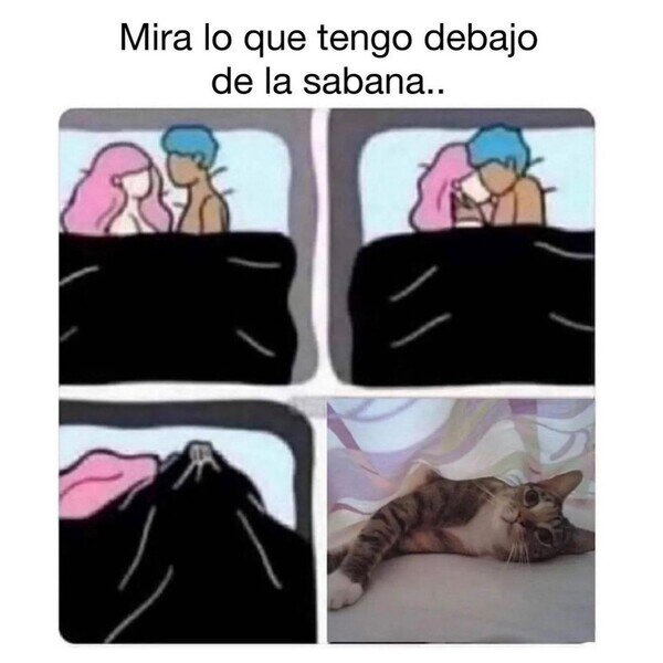 CC_2812035_a38b5fbf500c429eb1da78c3ea810f6c_otros_uy_que_cosita_2.jpg