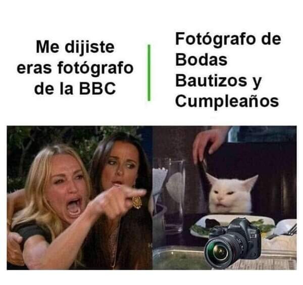 BBC,fotógrafo,gato