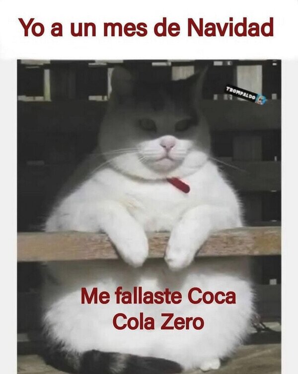 CC_2813024_3e04a70c76074980b04b19a1f5ab8910_meme_otros_dulces_y_rebosantes_fiestas.jpg