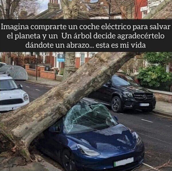 CC_2813146_216ebf948e784cb881527c387e48d6e7_otros_cuando_el_planeta_te_lo_agradece.jpg