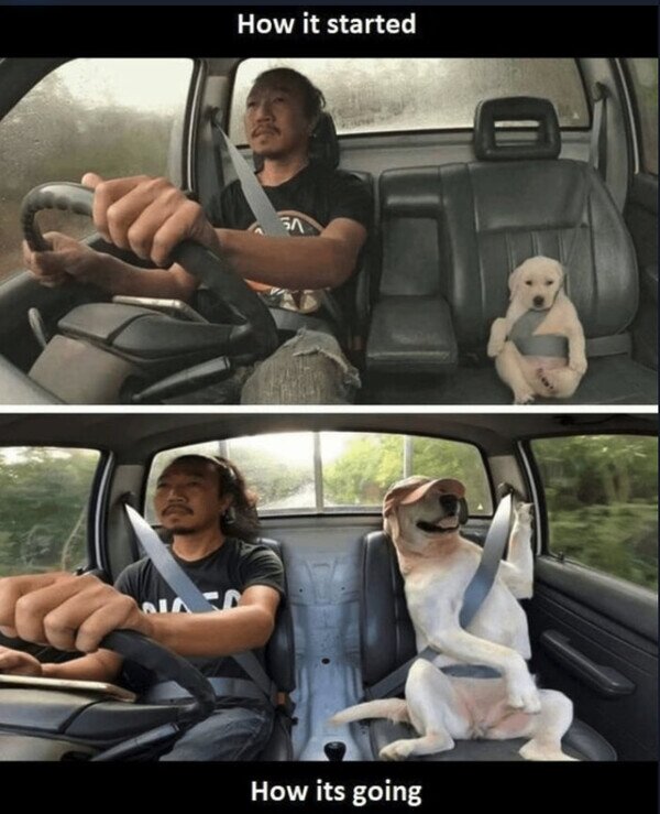 CC_2813293_b1b02536dccb4e66b2cb96546081d765_meme_otros_una_vida_plena.jpg