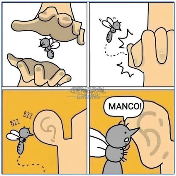 Meme_otros - Mosquitos vacilones