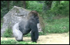 15 personajes típicos de discoteca bailar,discoteca,fiesta,fin de semana,música,personajes,sabado