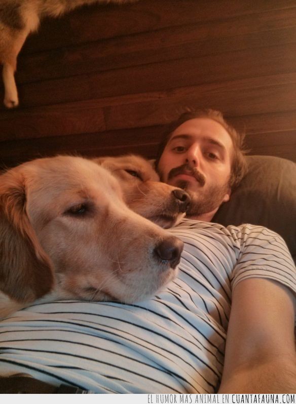 Una de esas historias tiernas entre perro abandonado y hombre rescatador en imágenes abandonado,addie,animal,bran,golden retriever,historia,perro,persona,tierna