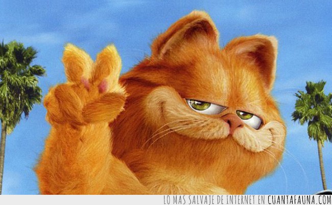 ¿Tienes ganas de ver una película de animales? Alguna de estas puede ser la elegida... animales,dibujos,lista,mix,películas