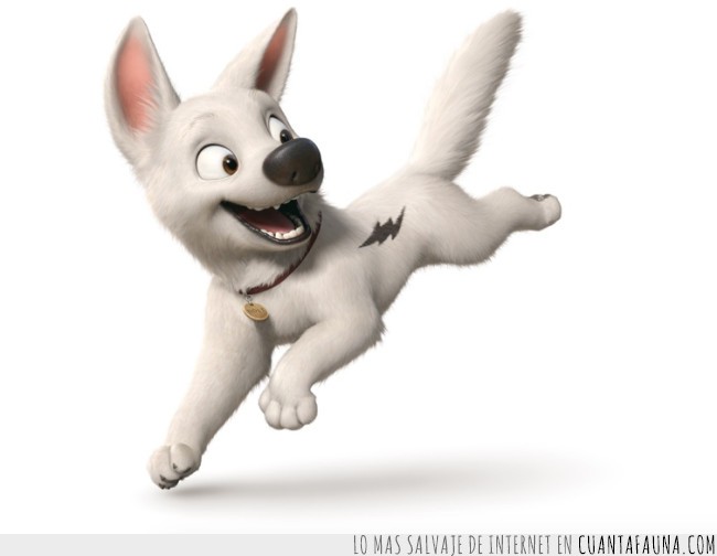 ¿Tienes ganas de ver una película de animales? Alguna de estas puede ser la elegida... animales,dibujos,lista,mix,películas