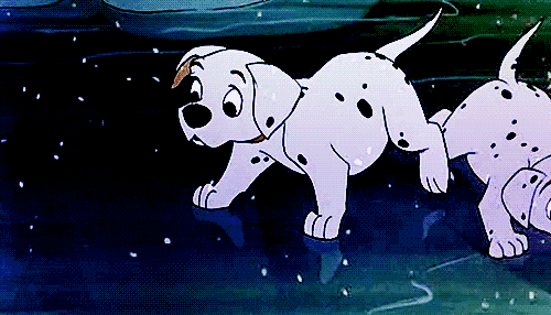 ¿Tienes ganas de ver una película de animales? Alguna de estas puede ser la elegida... animales,dibujos,lista,mix,películas