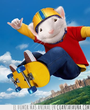 ¿Tienes ganas de ver una película de animales? Alguna de estas puede ser la elegida... animales,dibujos,lista,mix,películas