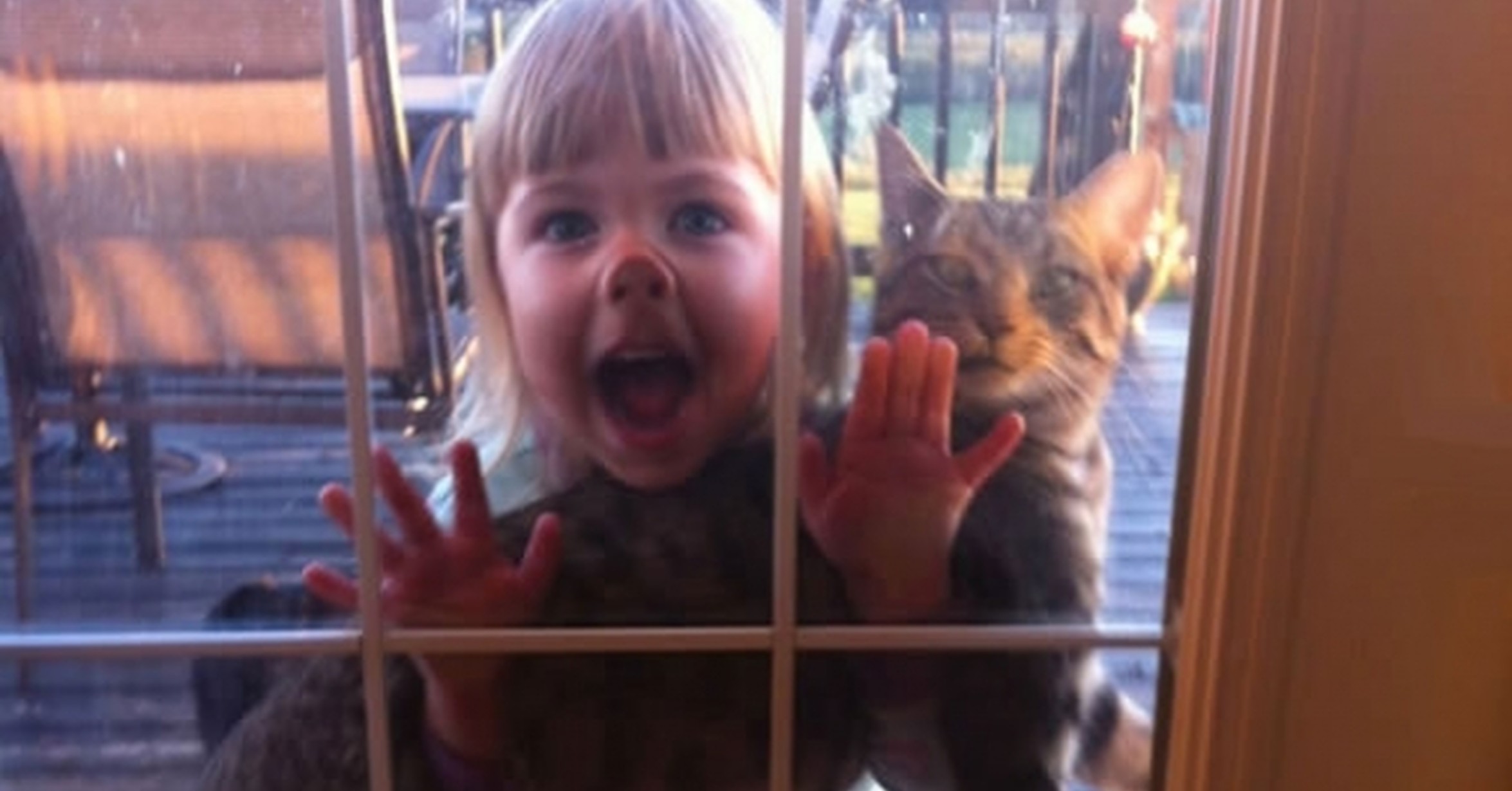 Властный кот. Минут он уже в. Испуганные глаза кота. Заболтались. Напряжённый парень мем.