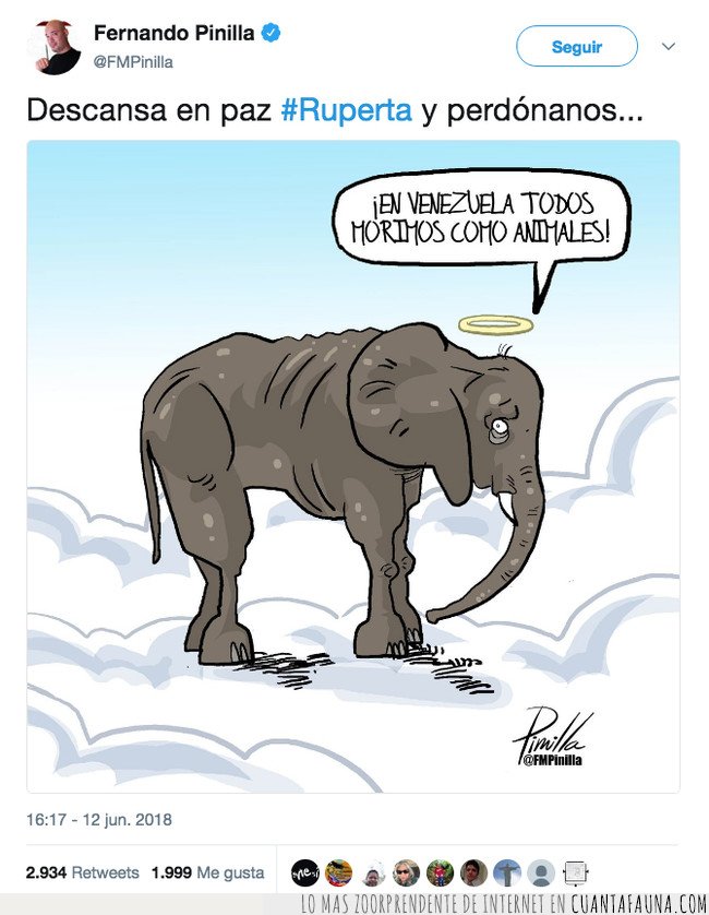 Muere Ruperta, la elefanta más famosa de Venezuela, por desnutrición debido a la crisis del país denuncia,elefante,muerte,ruperta,venezuela