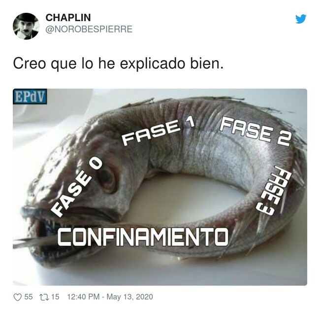 15962 - Y de esta no saldremos nunca, por @NOROBESPIERRE