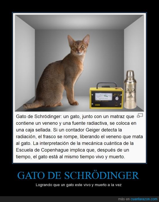 Resultado de imagen de gato de schrödinger