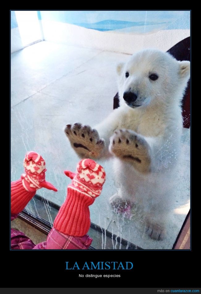 barbie y el oso polar