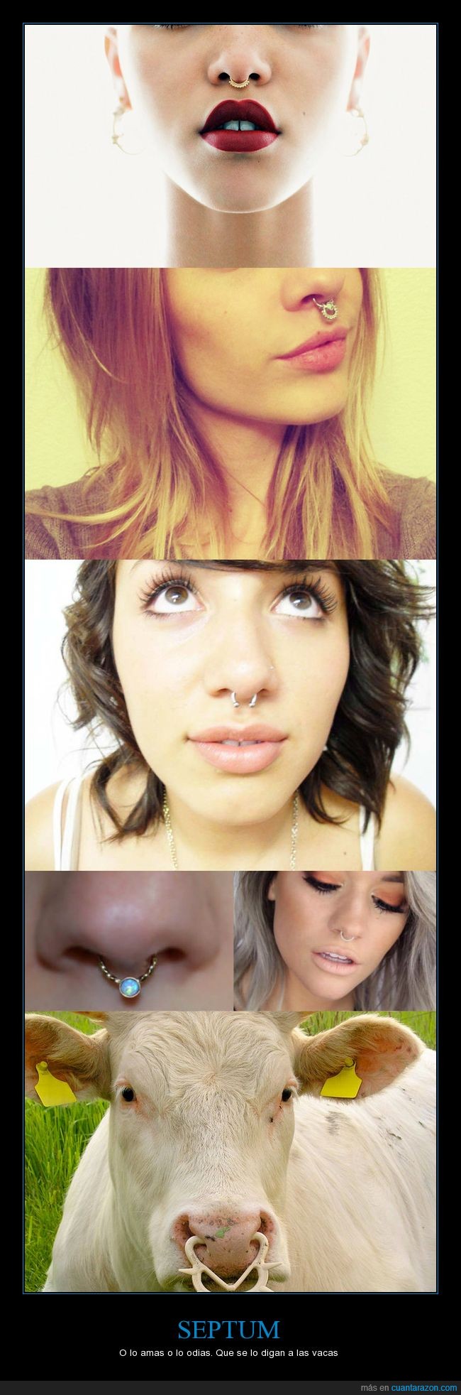 picture Vaca Con Piercing eres pro o anti septum