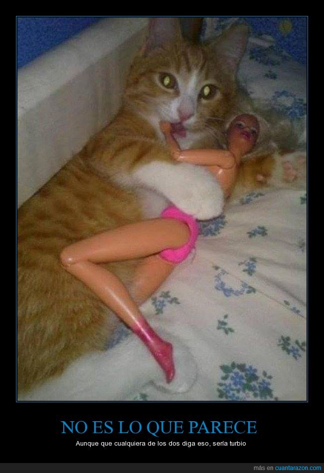 Зрелый член и заводящая киска