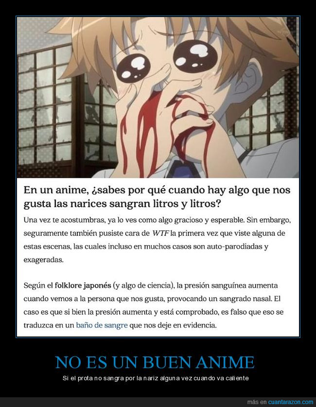 Porque En Los Animes Sangran Por La Nariz