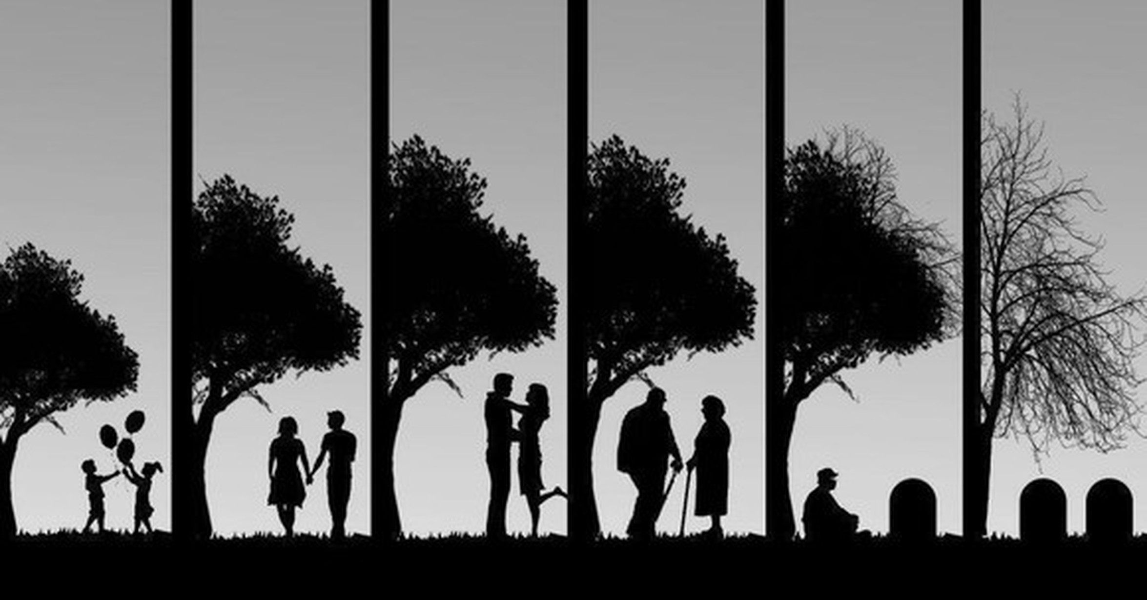 ¡Cuánta razón! / El ciclo de la vida