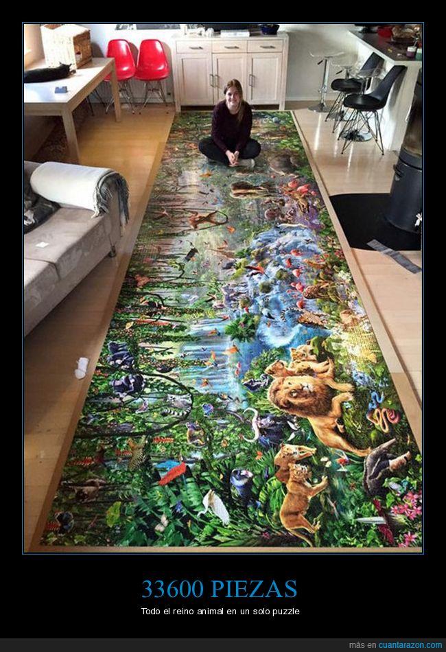 Cuanta Razon Dicen Que Hace 10 Anos Que No Sale De Casa Aquí podemos ver una selección de ellos que podrán leer y aprender y memorizar. dicen que hace 10 anos que no sale de casa