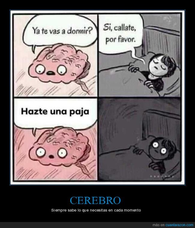 Tu Cerebro Te Conoce Bien 3memes Com